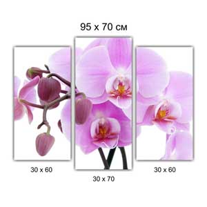 Модульная картина триптих Брест