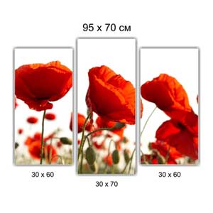 Модульная картина триптих Брест