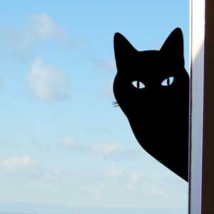 Интерьерная наклейка Кот Брест