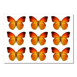 Наклейки на натяжной потолок Брест