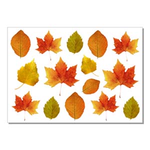 Наклейки на натяжной потолок Брест