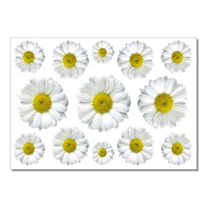 Наклейки на натяжной потолок Брест