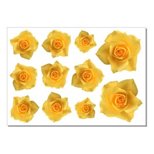 Наклейки на натяжной потолок Брест