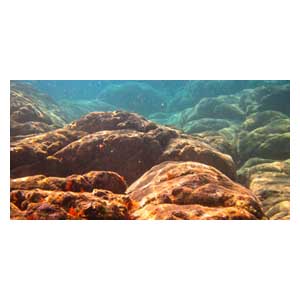 Задний фон для аквариума А-04 Брест