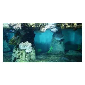 Задний фон для аквариума А-05 Брест