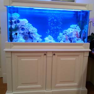 Винилография и тонировка аквариума Брест