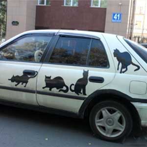 Виниловые наклейки для авто девушки коты брест