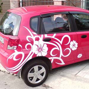 Виниловые наклейки для авто девушки. Вариант