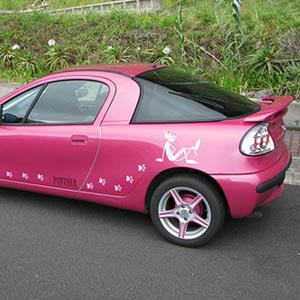 Виниловые наклейки для авто девушки. Вариант