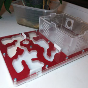 макет чертеж схема cnc cut formicaria antfarm plexiglass формикарий ферма для муравьев оргстекло сувенир, макет векторный для резки