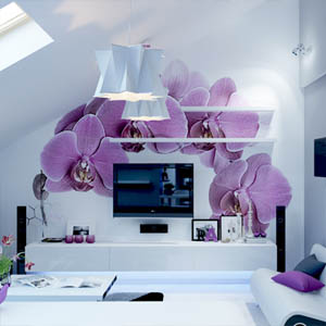 Фотообои Орхидеи