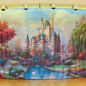 Занавес, театральные шторы с любым изображением