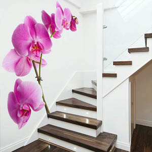 Большой стикер на стену Орхидея