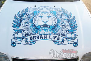 Винилография на капоте Брест