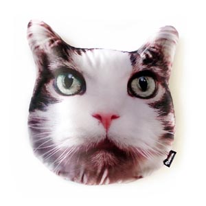 Сувенирная подушка подарок Брест