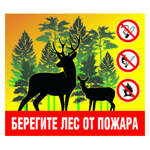Стенд 049. Постер плакат Берегите лес от Пожара