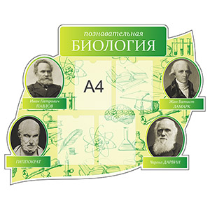 Стенд 126. Познавательная Биология Школа Детский сад стенды для детского сада в группу, для школы, с карманами кармашками, охрана труда для школы информационный стенд для информации для карманов на стену большого размера оригинал макет