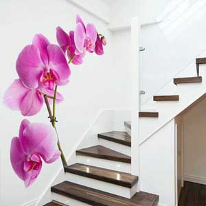 Цельный принт на стену в интерьере обои Брест